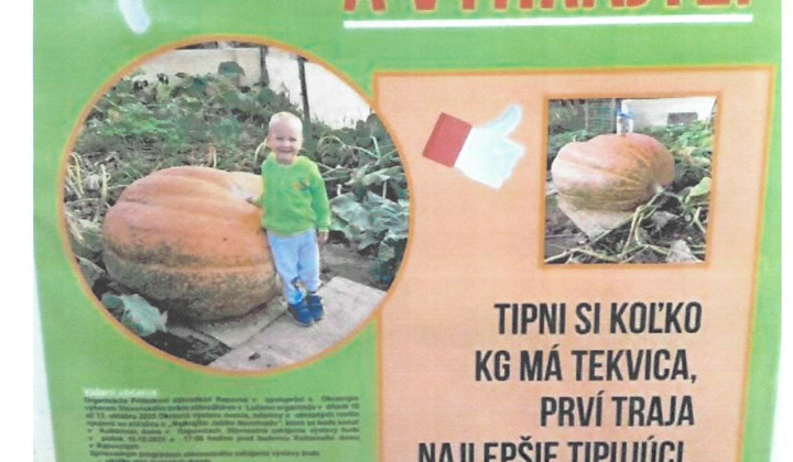 2. fotografia fotogalérie Pozvánka okrasná výstava ovocia a zeleniny a okrasných rastlín